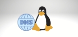 Cómo configurar DNS en Linux Ubuntu